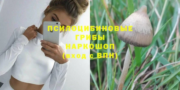 гашик Белоозёрский