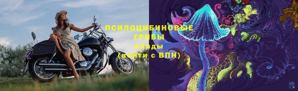 гашик Белоозёрский
