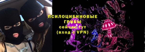 гашик Белоозёрский