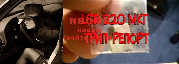 гидропоника Беломорск