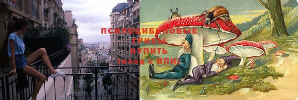 кокс Белокуриха