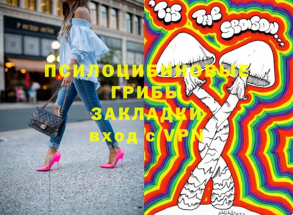 гашик Белоозёрский