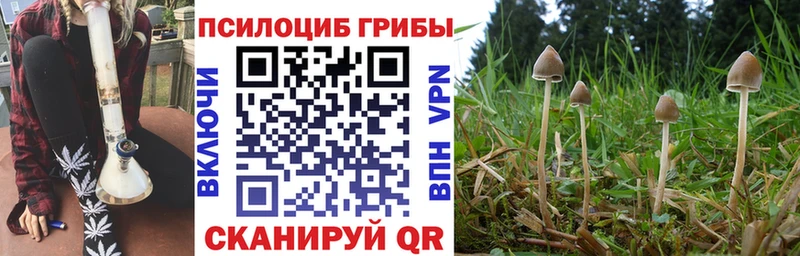 Галлюциногенные грибы ЛСД  мориарти клад  Минеральные Воды 