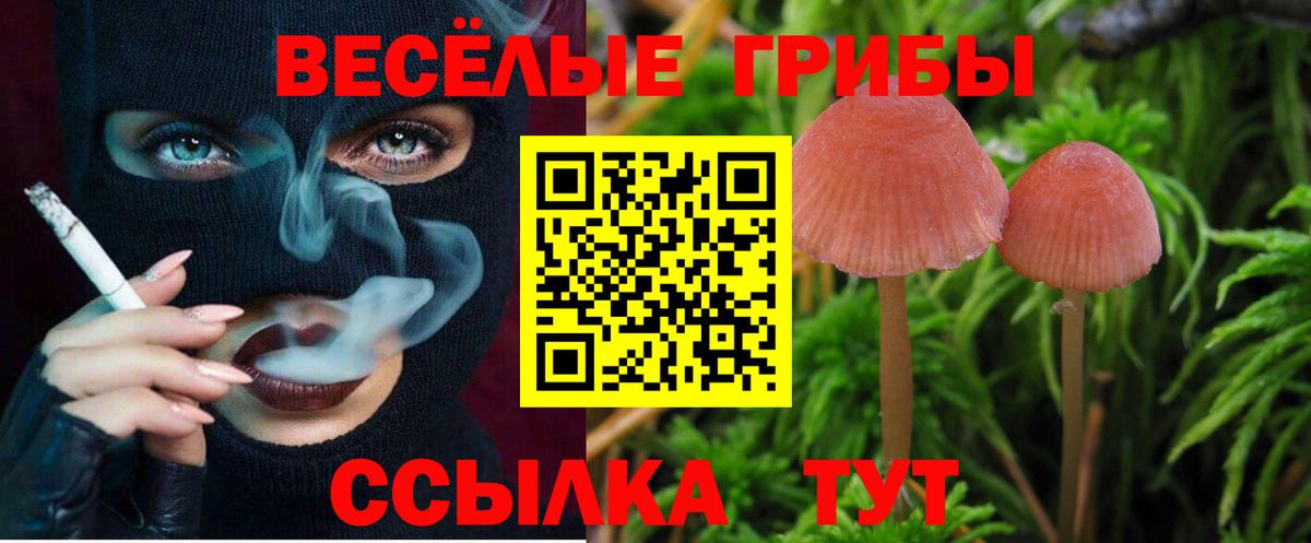 Псилоцибиновые грибы MAGIC MUSHROOMS  Вход с VPN  Галлюциногенные грибы ЛСД  наркошоп  Минеральные Воды 
